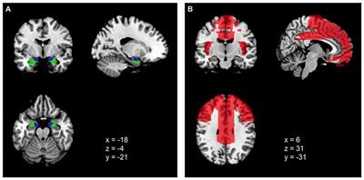 Resting State Cortico-Limbic Functional Connectivity and Dispositional Use of Emotion Regulation Strategies: A Replication and Extension Study